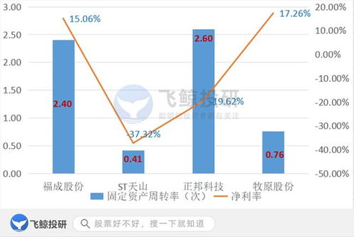 排雷必備 巧用固定資產(chǎn)篩選企業(yè)，優(yōu)化企業(yè)資產(chǎn)管理